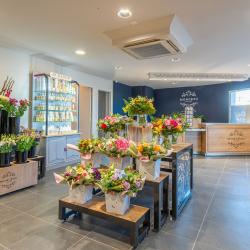 Monceau Fleurs
