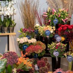 Monceau Fleurs