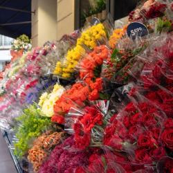 Monceau Fleurs Sevrier