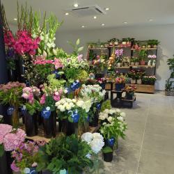 Monceau Fleurs Sevrier