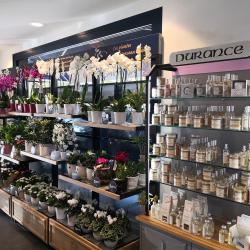 Monceau Fleurs