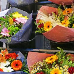 Monceau Fleurs Villemomble