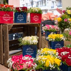 Monceau Fleurs