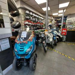 Mondial Scooter Et Mondial City