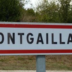 Mongaillard