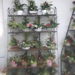 Monier Fleurs