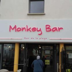 Monkey Bar