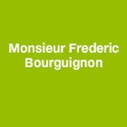 Monsieur Frederic Bourguignon