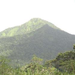 Montagne Pelée