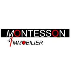 Montesson Immobilier