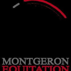 Montgeron Equitation