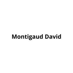 Montigaud David