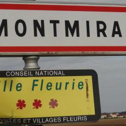 Montmirail " Ville Fleurie "