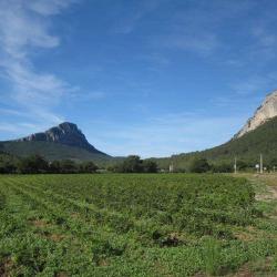 Montpellier Wine Tours