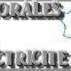 Morales Electricite