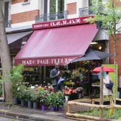 Morgan Page Fleurs