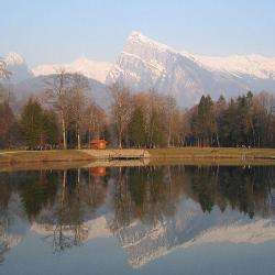 Morillon