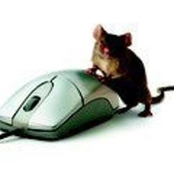 Mornac Informatique