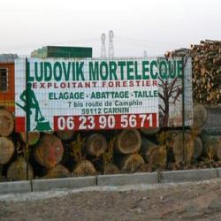 Ludovic Mortelecque