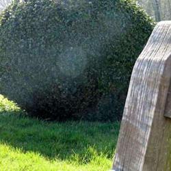 Morvan Jean-rené