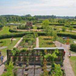 Mosaic - Le Jardin Des Cultures