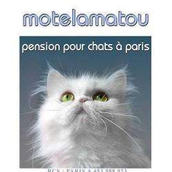 Motelamatou