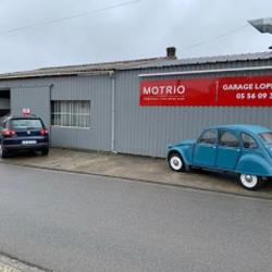 Motrio