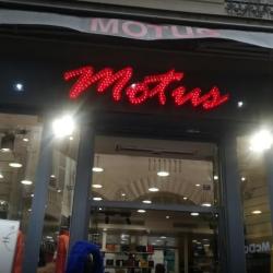 Motus