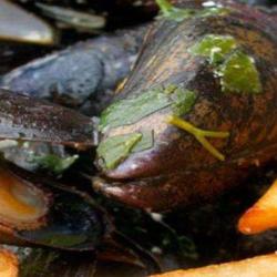 Moules Frites