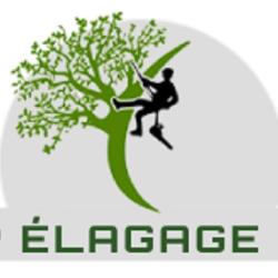 Mp élagage Dans Le 80: Le Bon Choix