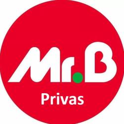 Mr Bricolage