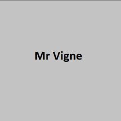 Mr Michel Vigne