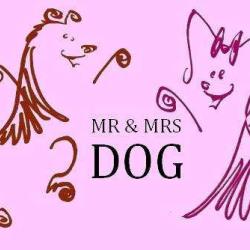 Mr & Mrs Dog