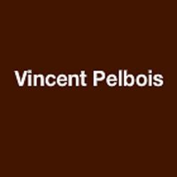 Mr Pelbois Vincent