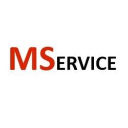 Ms