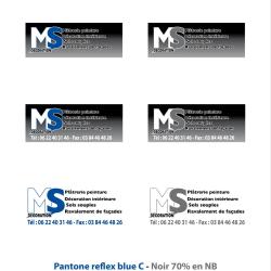Ms Décoration