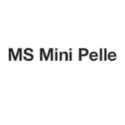 Ms Mini Pelle