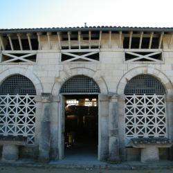Musee Archeologique