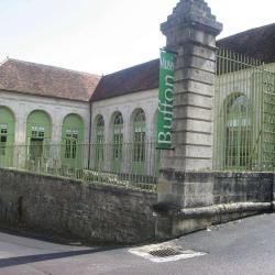 Musée Buffon