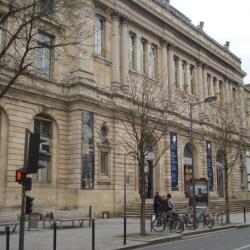 Musée D'aquitaine