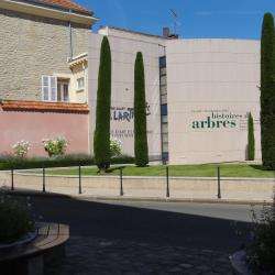 Musée D'art Et D'histoire Louis Senlecq