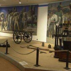 Musée D'histoire De La Ville De Marseille