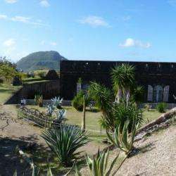 Musée D'histoire Des Saintes