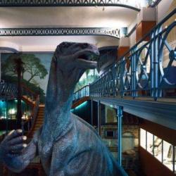 Musée D'histoire Naturelle