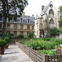 Musée De Cluny