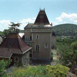 Musée Malartre - Musée De L'automobile