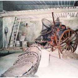 Musee De L'etang De Thau