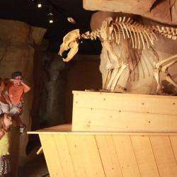 Musee De L'ours Des Cavernes