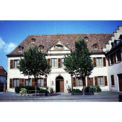 Musee De La Chartreuse Et Fondation Bugatt