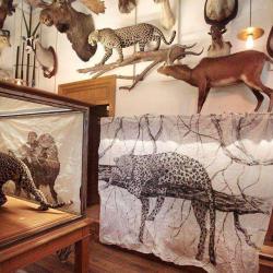 Musée De La Chasse Et De La Nature